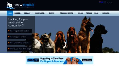 dogsonline|dogzonline australia.